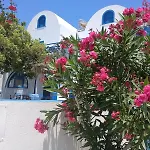 Flora Santorini بيريسا