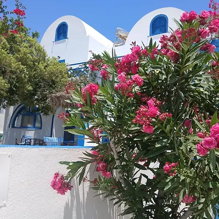 Flora Santorini 佩里萨