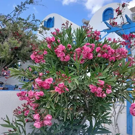 Flora Santorini